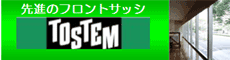 TOSTEM